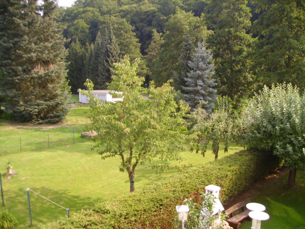 Hotel Zur Erholung Brochthausen Room photo